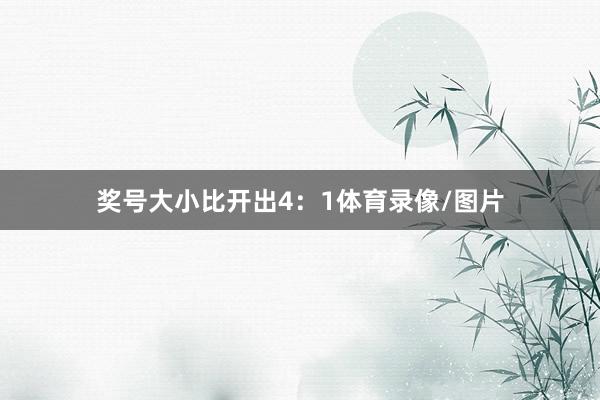 奖号大小比开出4：1体育录像/图片