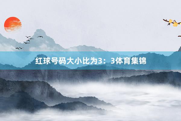 红球号码大小比为3：3体育集锦