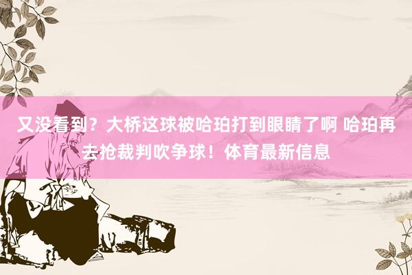 又没看到？大桥这球被哈珀打到眼睛了啊 哈珀再去抢裁判吹争球！体育最新信息