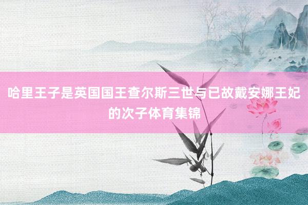 哈里王子是英国国王查尔斯三世与已故戴安娜王妃的次子体育集锦